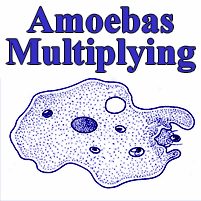 Magic Puzzle - Amoebas Multiplying